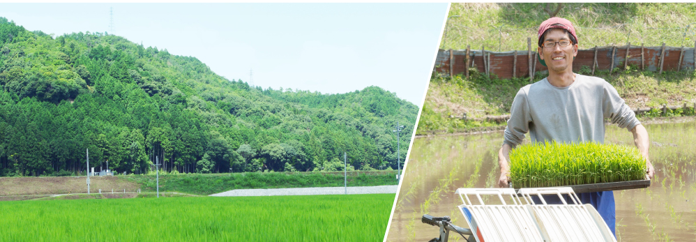 京都援農隊とは